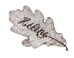 Hélène | Genée, Bernadette. Artiste