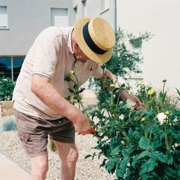 Des cadres singuliers : Claude dans le jardin de l’EHPAD de Castelnau-Montratier | Soichet, Hortense. Artiste
