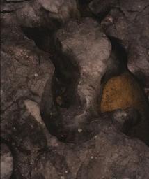 Terrain.s 2 : Série "Terrain.s" | Pouzet, Alexandra. Artiste