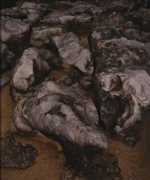 Terrain.s 3 : Série "Terrain.s" | Pouzet, Alexandra. Artiste