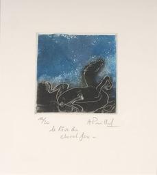 Le rêve du cheval fou / Alain Prillard | Prillard, Alain. Artiste