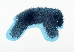 Chien poilu / Guillaume Pinard | Pinard, Guillaume. Artiste