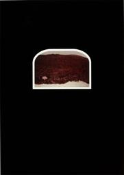 Rapunzel / Alice Anderson | Anderson, Alice. Artiste