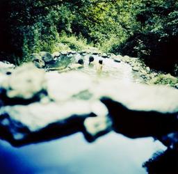 Tierce des paumés 3 / Lise Lacombe | Lacombe, Lise. Artiste