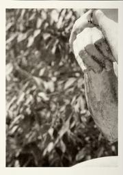 Penser le travail et travailler la pensée 1 / Charlotte Moth | Moth, Charlotte