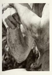 Penser le travail et travailler la pensée 3 / Charlotte Moth | Moth, Charlotte