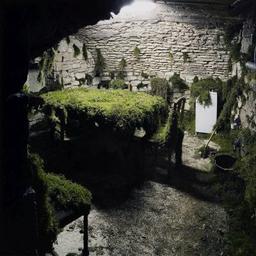 Grotesque / Gilles Bruni | Bruni, Gilles