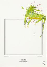 Une autre histoire naturelle- Iguane / Adrien Vermont | Vermont, Adrien